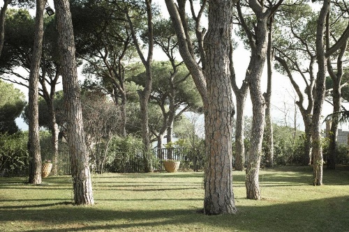 Hotel Al Bustan image 40